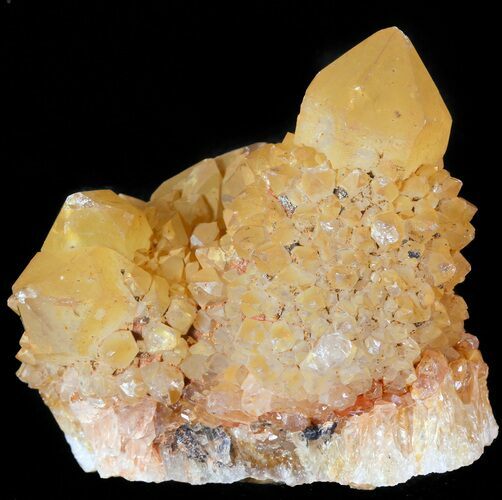 Sunshine Cactus Quartz Crystal - South Africa #47190